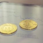 Understanding Bitcoin Volatility: Insights for Everyday Investors Understanding Bitcoin Volatility: Insights for Everyday Investors