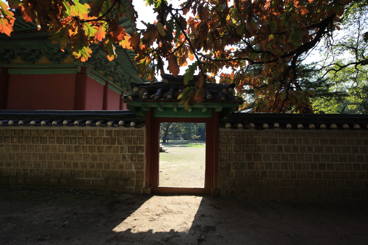 What Makes Seoul Unique Among Asian Megacities?