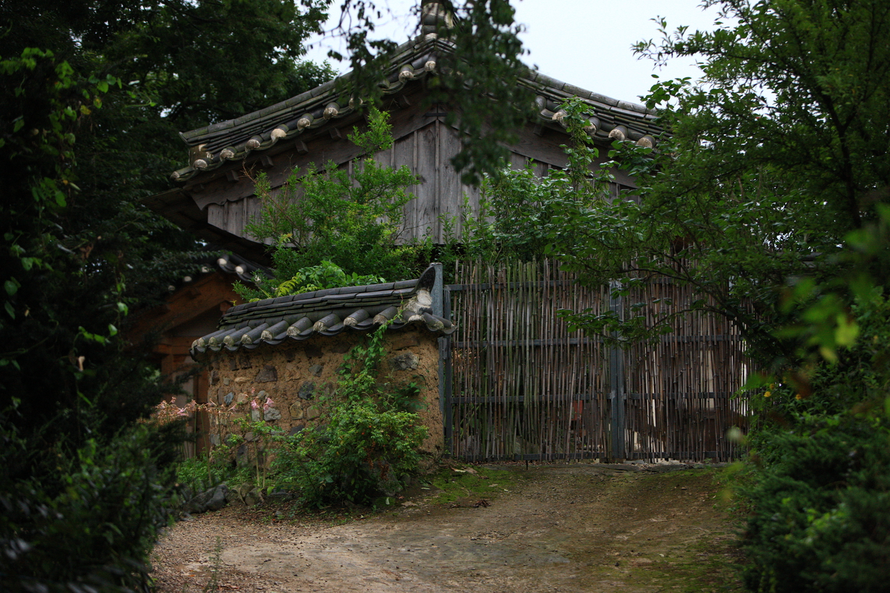 The Harmonious Dance of Tradition and Modernity in Korean Lifestyle