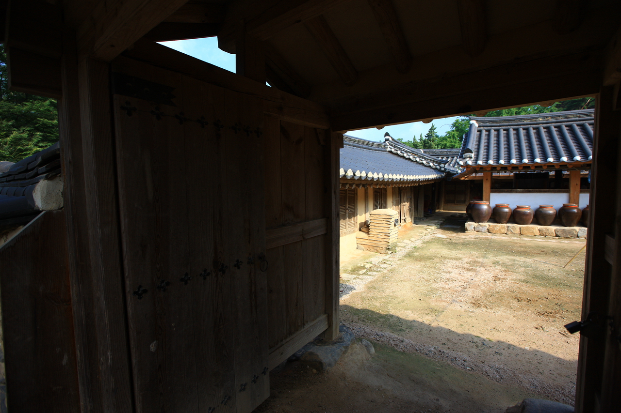 Unveiling Unique Korean Daily Habits That Amaze Visitors