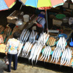 Exploring Korean Cuisine: A Mirror to the Korean Way of Life 1_k-food_1dc518a67d08