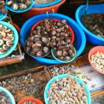 Exploring the Vibrant Culture of Korean Street Food 1_k-food_af8c0e3c91c0