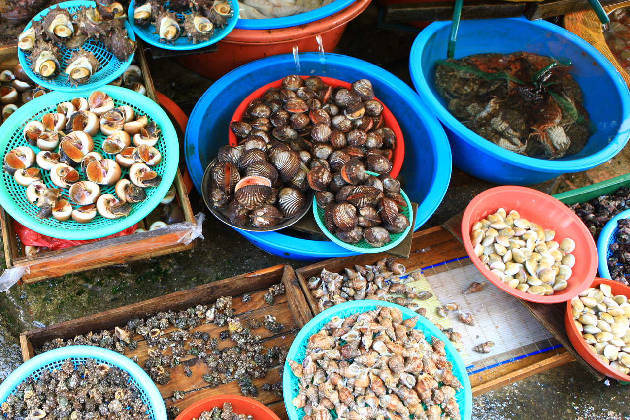 Exploring the Vibrant Culture of Korean Street Food