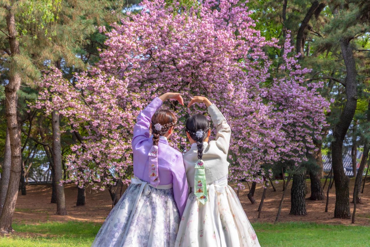 Unveiling Unique Korean Daily Habits That Amaze Visitors