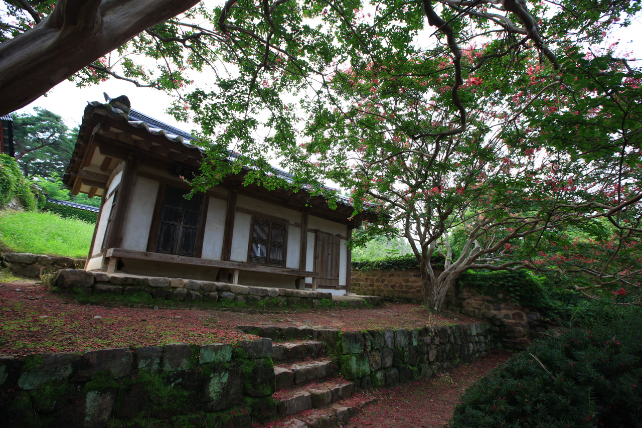 Exploring the Allure of Modern Korean Lifestyle for Global Audiences