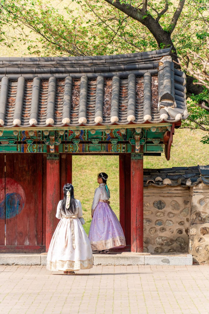 Exploring the Intriguing Aspects of Modern Korean Lifestyle