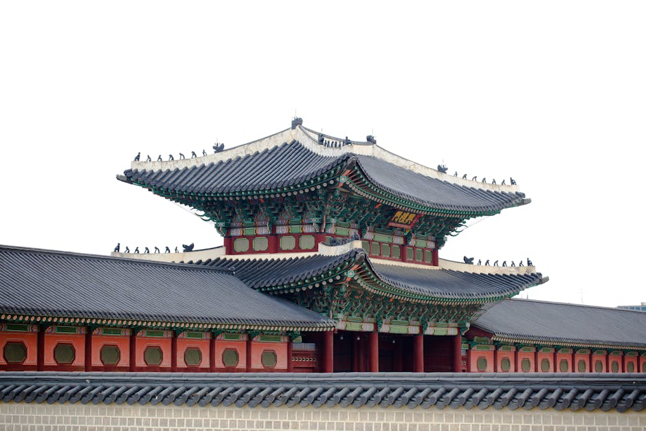 Essential Tips for First-Time Travelers to Korea