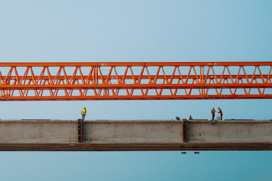 Exploring the Unique Dynamics of Korean Work Culture